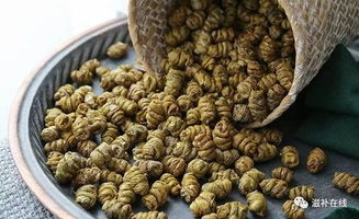 枫斗的 正确打开方式 ,了解一下