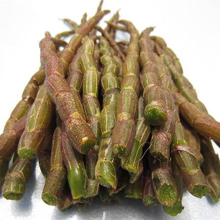 新昌刘门山铁皮石斛鲜条 红杆鲜条铁皮石斛 铁皮枫斗 20g