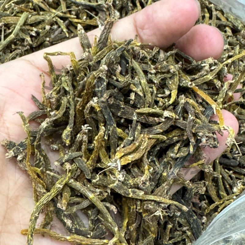 吾家余堂红珠虫石斛中药材新货红朱铁皮枫斗珍虫石斛干货煮水炖汤养生