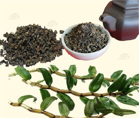 铁皮枫斗专业批发 生产厂家与价格解析