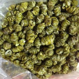 如何辨认铁皮石斛与铁皮枫斗