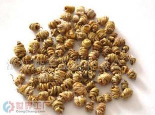 批发优质森山铁皮枫斗原材料 免疫抗疲劳、滋阴补虚的天然养生佳品