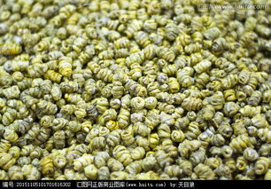 铁皮枫斗的益处与应用