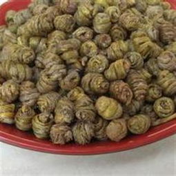 铁皮石斛 正宗云南精铁铁皮石斛枫斗，自然馈赠的健康瑰宝